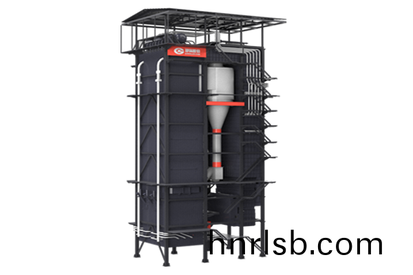 DHX生物(wu)質循環流(liu)化(hua)牀鍋鑪