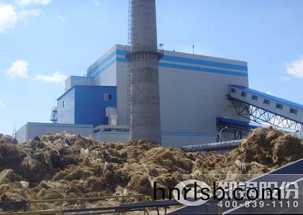 75噸(dun)生(sheng)物質(zhi)電(dian)站(zhan)鍋(guo)鑪