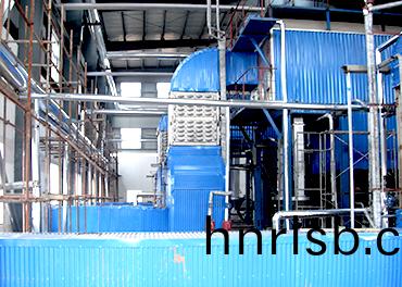 鄭(zheng)州航(hang)空港20噸(dun)鏈(lian)條鍋鑪(lu)項(xiang)目(mu)