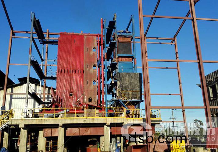 墨(mo)西(xi)哥(ge)30噸生(sheng)物質蒸(zheng)汽(qi)鍋鑪項目(mu)