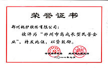 高成(cheng)長(zhang)型民(min)營企業