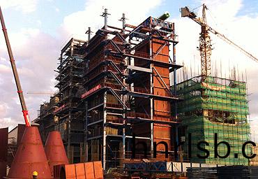 哈爾(er)濱(bin)116MW（160噸(dun)）循(xun)環流化牀熱(re)水鍋(guo)鑪項目