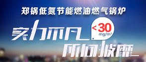 低(di)氮(dan)燃(ran)油(you)燃氣鍋鑪(lu)專(zhuan)題(ti)